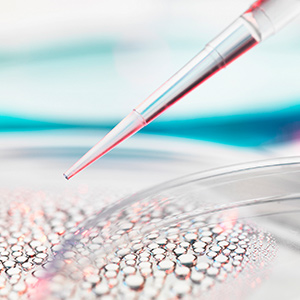 如何生成真實(shí)的液相色譜分析結(jié)果？